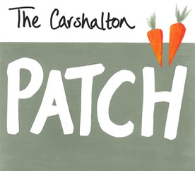 Carshalton Patch logo edited-1