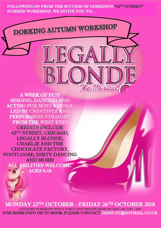 legally blonde summer school poster