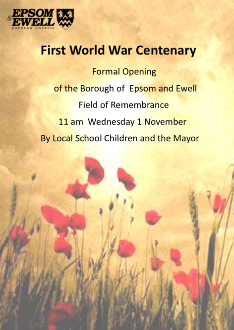 Poppies of Remembrance