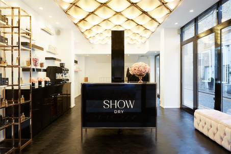 SHOW-DRY-4