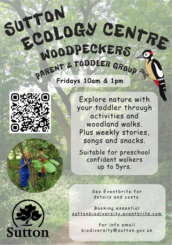Woodpeckers Flyer AM & PM QR