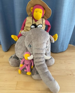 EXPLORER MONKEY