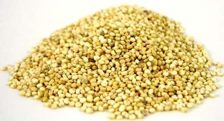 QUINOA